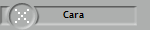Cara 