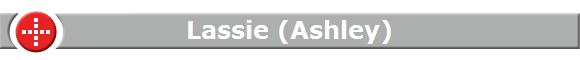 Lassie (Ashley)