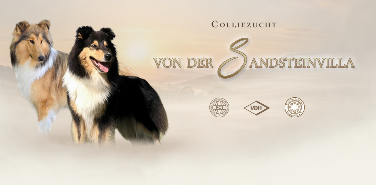 colliezucht-von-der-sandsteinvilla.de